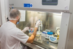 4.-Lab.-Biologie-moleculara-RT-PCR-2