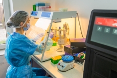 4.-Lab.-Biologie-moleculara-RT-PCR-5