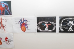 4.Radiol5
