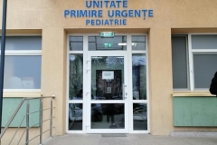 Z_UPU-Pedi-1.0